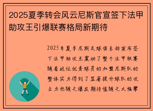 2025夏季转会风云尼斯官宣签下法甲助攻王引爆联赛格局新期待